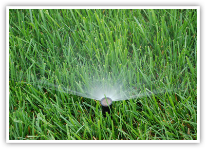 WeedPro® Lawn Care - Irrigation
