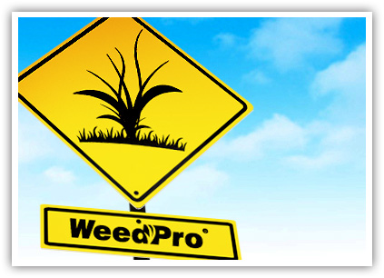 WeedPro® Lawn Care - Weed Eliminator