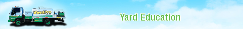 Yard Education